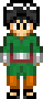 Rock Lee